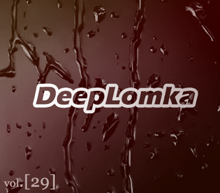 DeepLomka#29